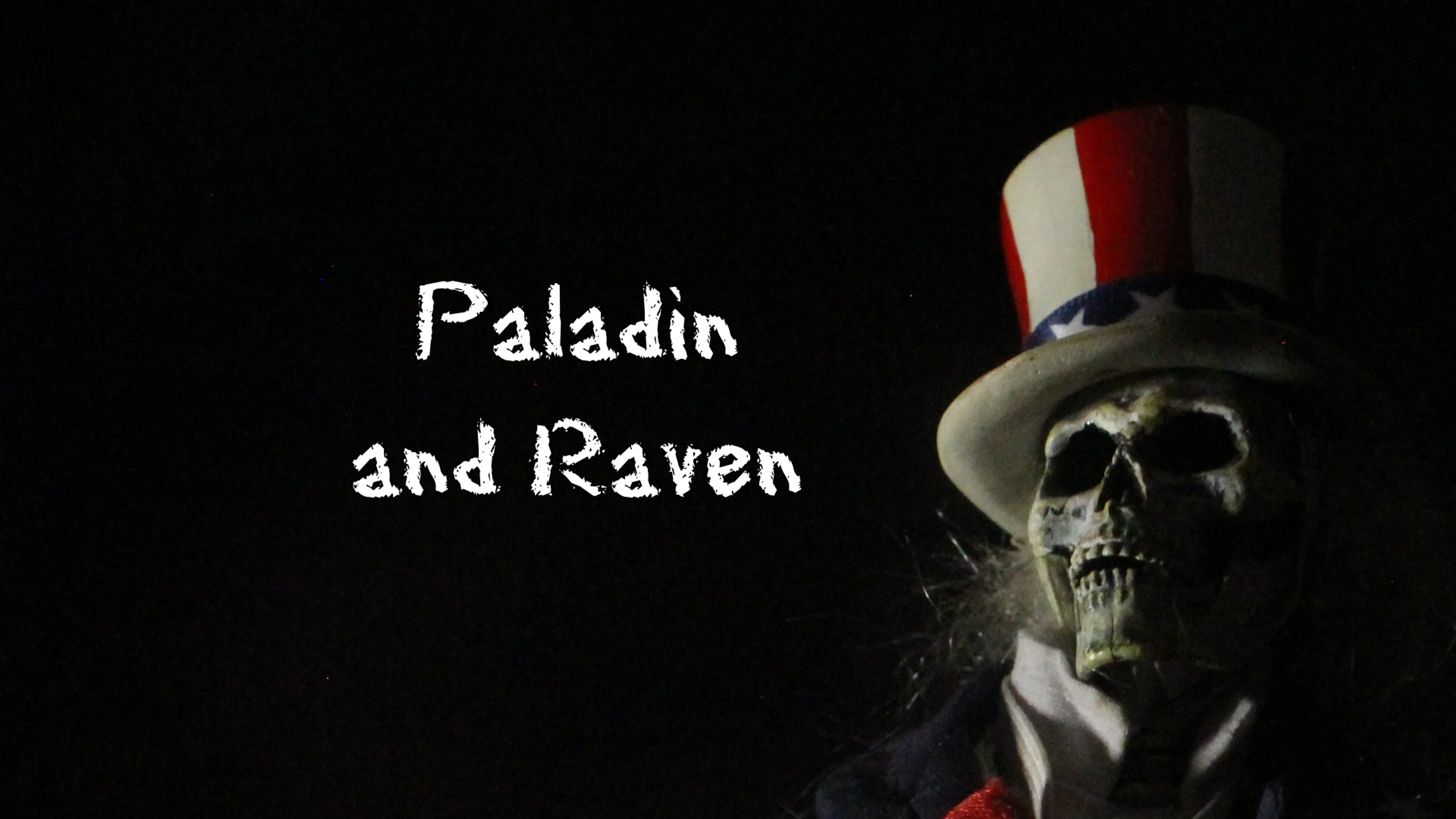 Paladin and Raven poster